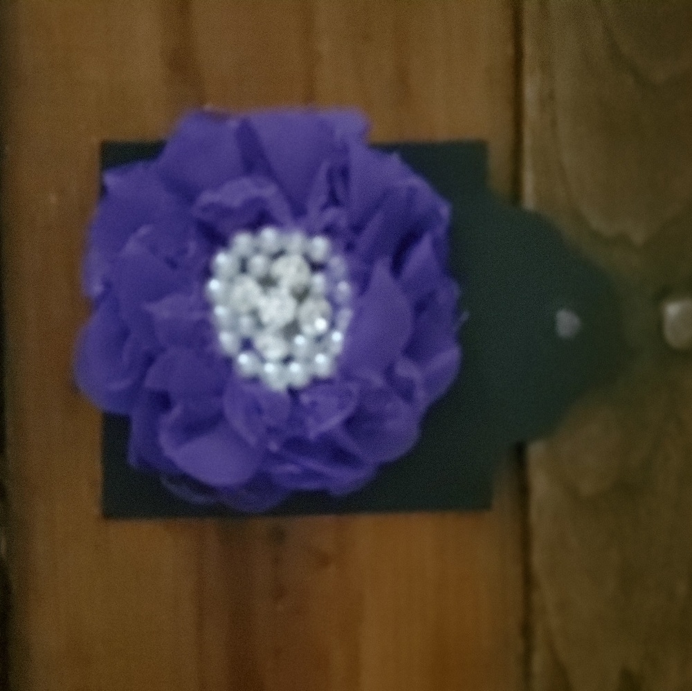 Cute purple hair accessorie.